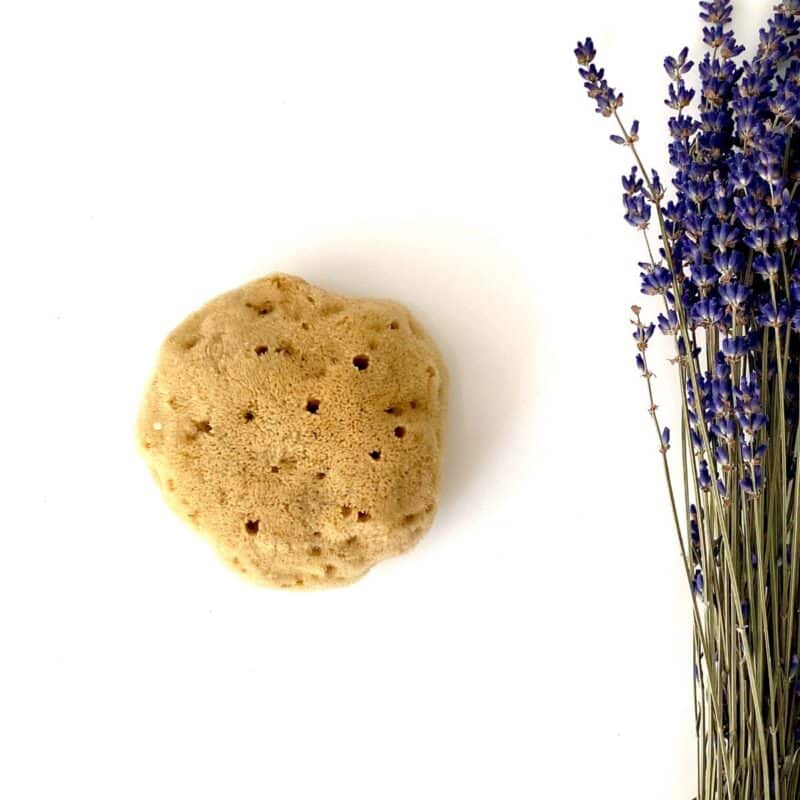Éponge de mer méditerranéenne biodégradable pour soin du visage