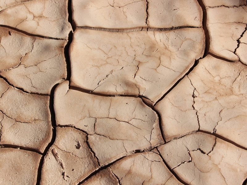 Sol craquelé par la sécheresse
